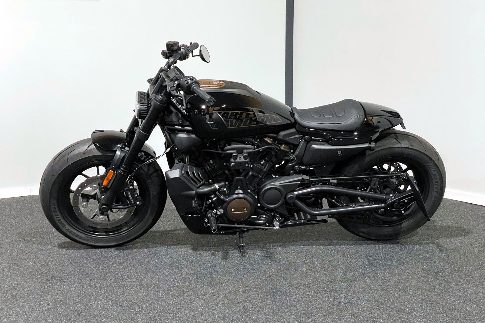 Fahrzeugabbildung Harley-Davidson Sportster S RH1250S EXTRAS