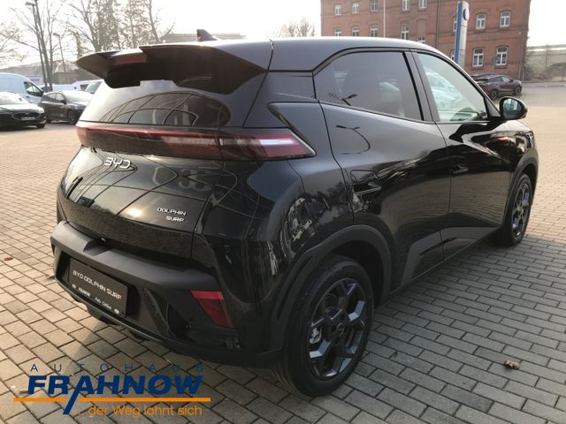 Foto Nummer 4: BYD DOLPHIN