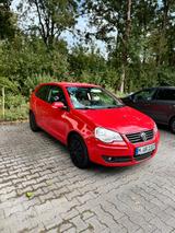 Volkswagen Polo 1.9TDI DPF 74kW United United - Volkswagen Polo: United TDI