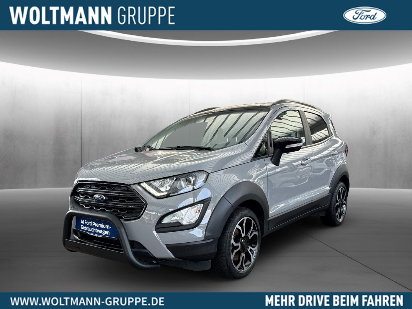 Fahrzeugabbildung Ford EcoSport Active Allwetter Winterpaket B&O NAVI D