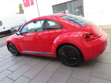 Volkswagen Beetle - 6