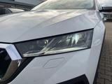 Skoda Octavia Combi 2.0 TDI Scout 4x4 - Skoda Octavia: Allradantrieb, Kombi
