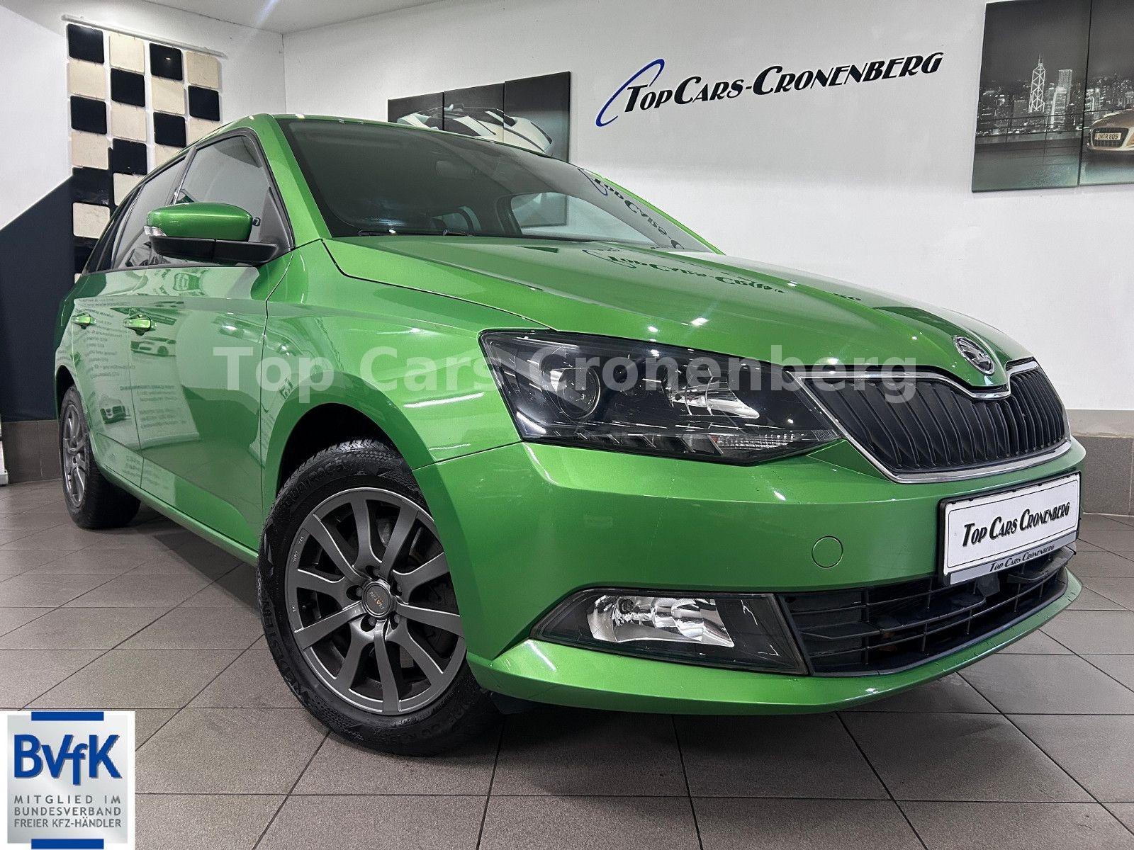 Skoda Fabia Combi Ambition*DSG*Behindertengerecht*EU6*