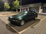 BMW E39 520i Oxford grün 202tkm - BMW 520 aus 2001: 520i