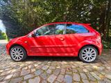 Ford Fiesta ST 150 - Ford Fiesta aus 2006: ST
