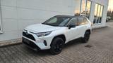Toyota RAV 4 Hybrid Style 4x Leder*el.Heckklappe - Toyota RAV 4 Gebrauchtwagen in Frankfurt