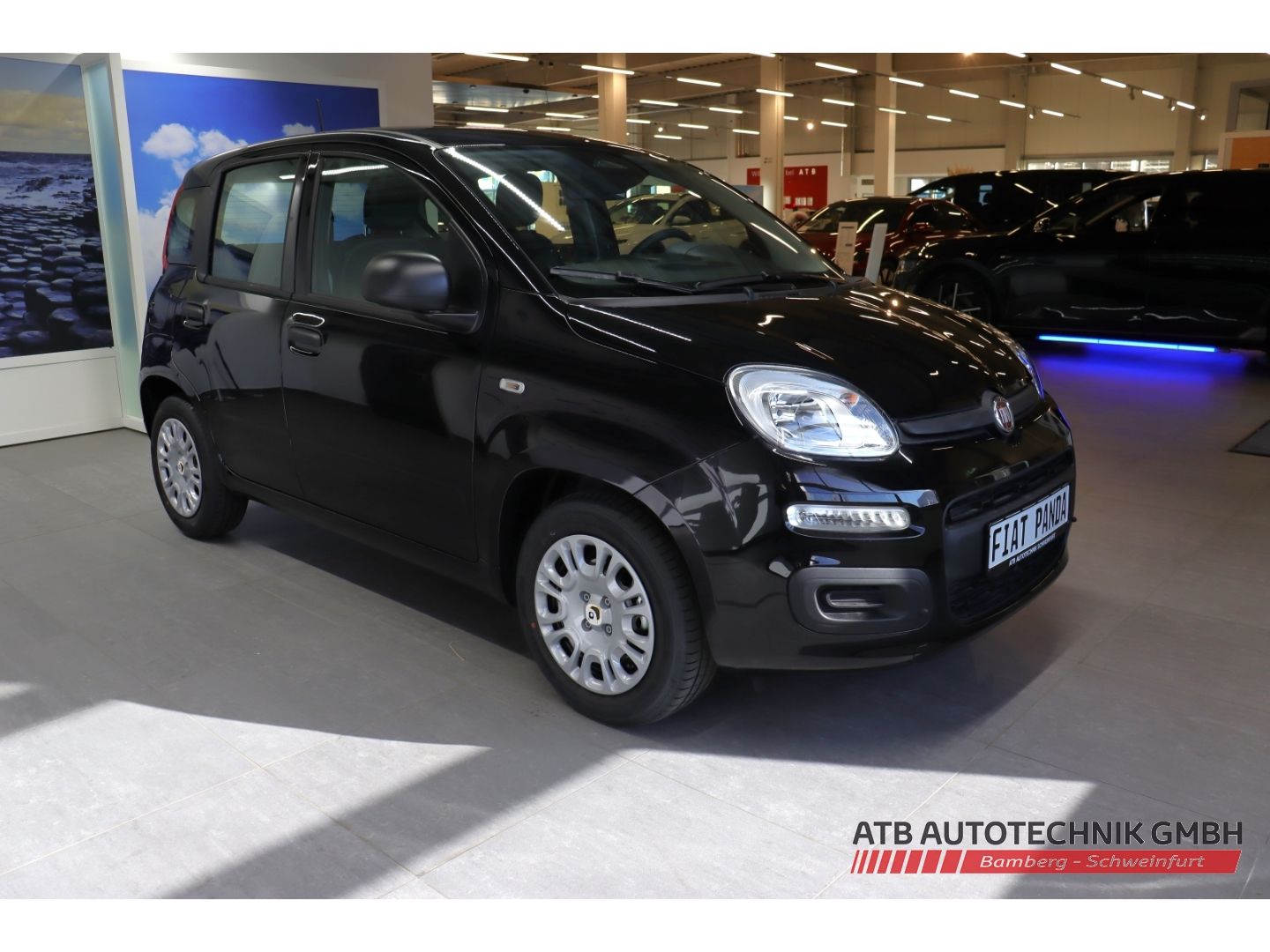 Fiat Panda - Bild 3