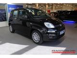 Fiat Panda Hybrid MY25  1,0 GSE 51kW (70 PS) City-Pak - Fiat Panda aus 2025