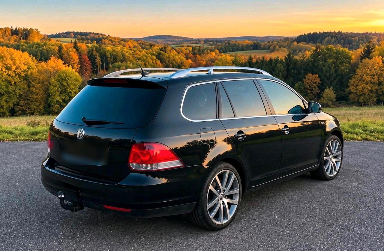 Volkswagen Golf 2010 — rear view