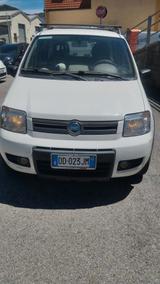 Fiat Panda 1.2 4x4 Climbing - gebrauchte Fiat Panda aus dem Jahr 2006