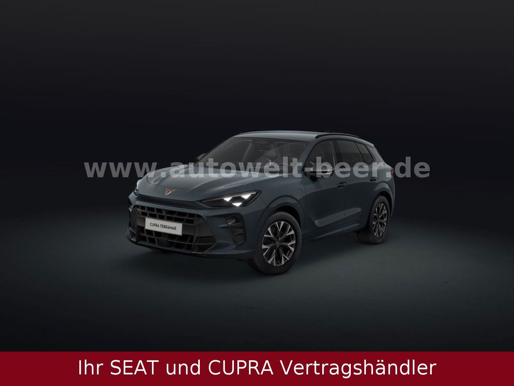 Terramar 1.5eHybrid 204PS DSG *Leasing ab 335 €