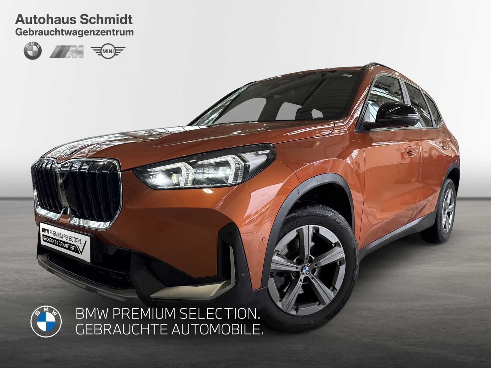 BMW X1 sDrive18d *LC Prof.*HUD*H/K*DAB*AHK*Adapt.LED foto 1