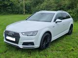 Audi A4 Allroad 3.0 TDI tiptronic quattro Avant - - Audi A4 Allroad: 3.0