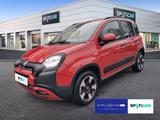 Fiat Panda 1.0 GSE Hybrid RED - Fiat Panda in Dresden