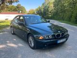BMW 530d E39 Facelift Oxfordgrün Standheizung - BMW 530: 530d E39