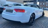 Audi A5 3.0 TDI EU6-QUATTRO-S LINE-NAVI-AUTOMA-LEDER- - Audi in Düsseldorf