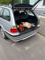 BMW Bmw 318i 2002 mit Austauschmotor 60TKM - BMW 2002: Kombi