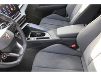 Cupra Terramar - Vorschau Bild 16