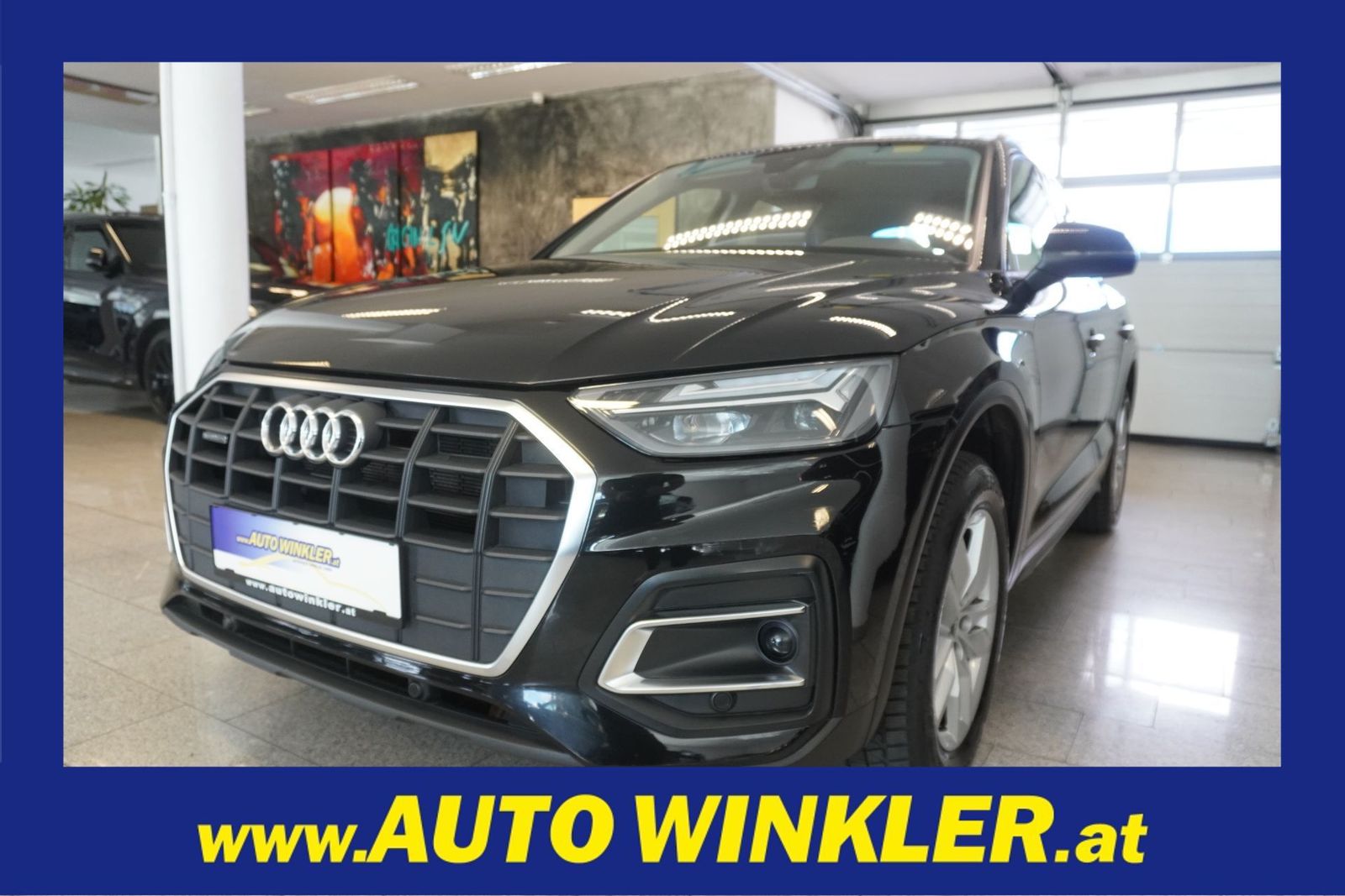 Audi Q5 quattro 2.0 50 TFSI e Navi/Leder/Ambiente