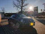 Volkswagen Beetle 1.2 TSI BMT ALLSTAR Cabriolet ALLSTAR - Volkswagen Beetle ALLSTAR mit Benzin-Antrieb