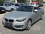 BMW 220 iA SPORT-LINE+LEDER+NAVI+SHZ+PDC+DAB+BT+HIFI - gebrauchte BMW 220 aus dem Jahr 2018