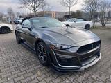 Ford Mustang 2.3 Convert/Full Shelby Bodykit/Facelift - Ford: Body