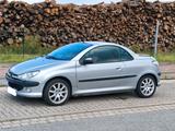 Peugeot 206cc 2.0 Cabrio Leder Allwetterre... - Peugeot 206 in Rostock