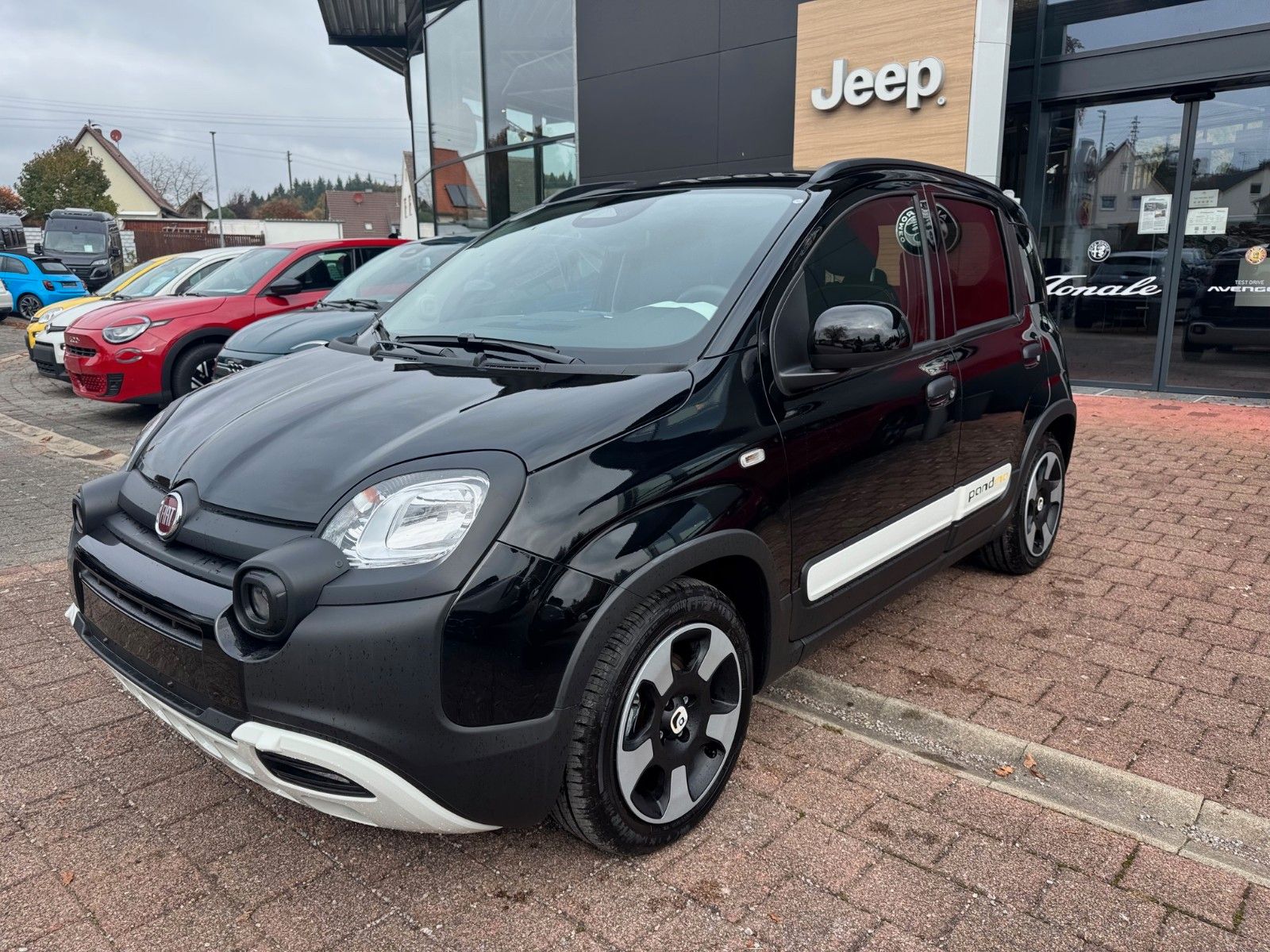 Fahrzeugabbildung Fiat Panda Pandina Cross Carplay Android Klima