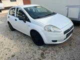 Fiat Punto Weiß - gebrauchte Fiat Punto aus dem Jahr 2006