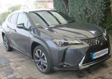 Lexus UX250H - Lexus UX aus 2023