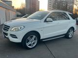 Mercedes-Benz ML 250 ML ML 250 CDI BlueTec - Mercedes-Benz ML 250 aus 2012
