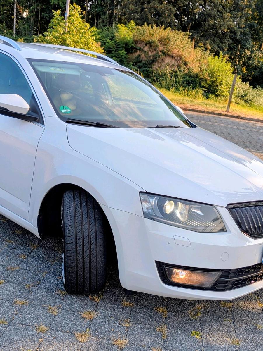 Skoda Octavia 2015 — photo 5