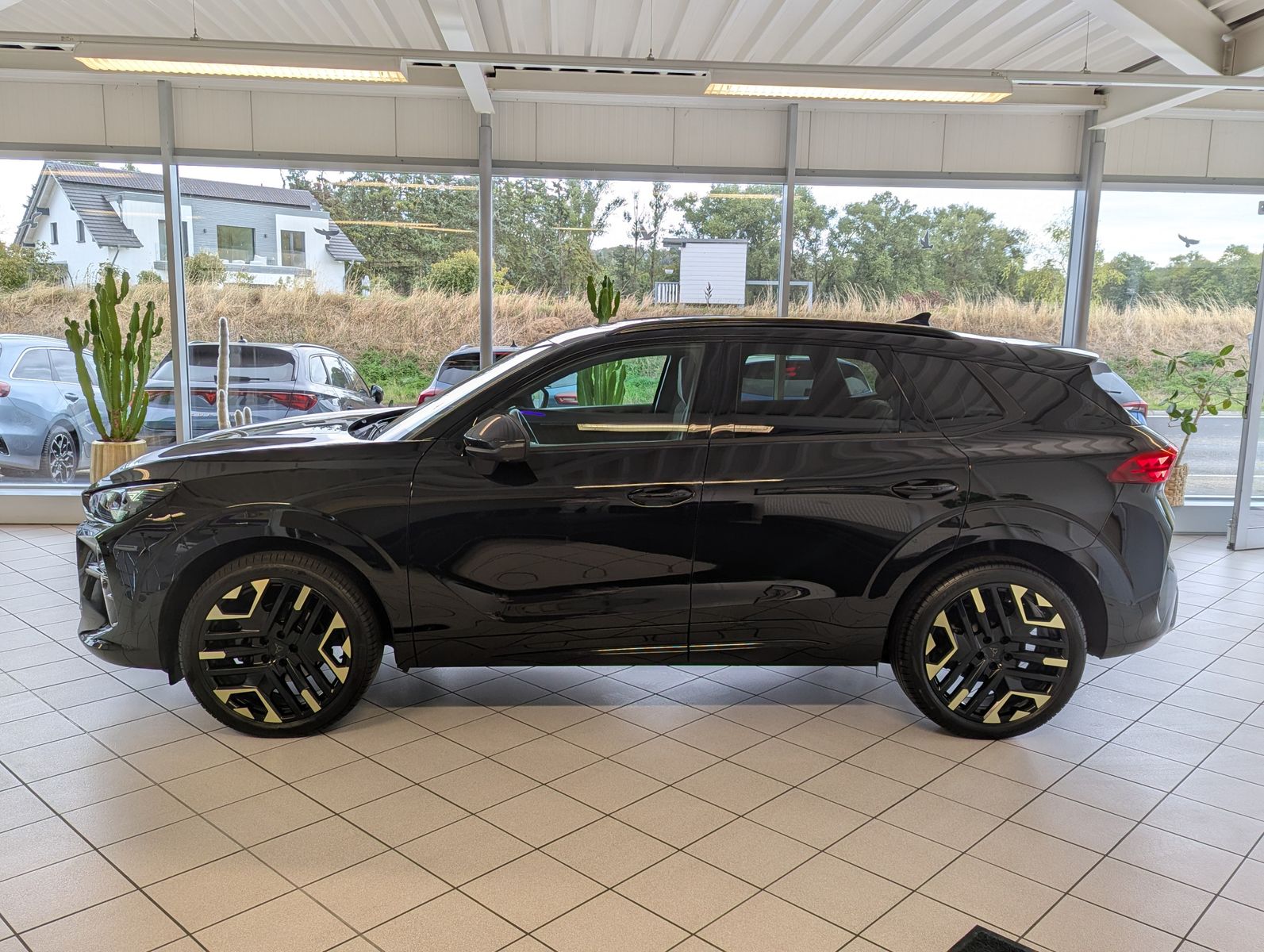 Fahrzeugabbildung CUPRA Terramar 1.5 TSI Tribe Senn Pano Matrix HUD AHK