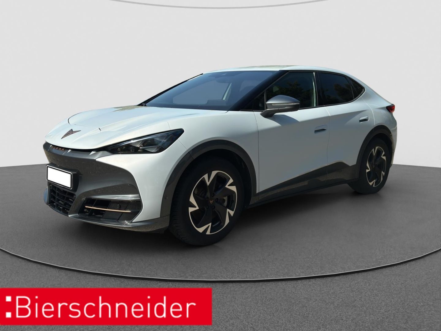 Cupra Tavascan Endurance ALCANTARA WÄPU NAVI 360 SHZ