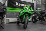 Kawasaki Ninja ZX4RR Performance, Modell 2025 - Kawasaki Motorräder in Magdeburg
