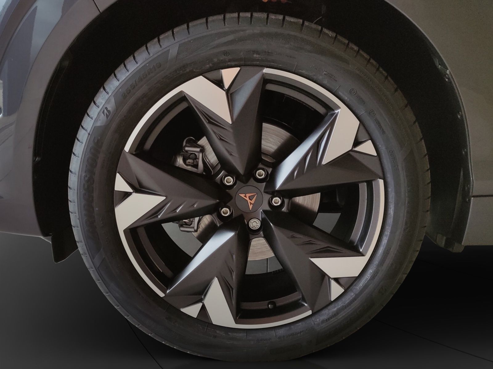 Cupra Terramar - Bild 9