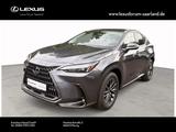 Lexus NX450h+ 2,5 Plug in E-Four MY 2026 Business Line - graue Lexus NX 450h