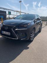 Lexus NX 300 300h Executive Line Executive Line - Lexus Gebrauchtwagen
