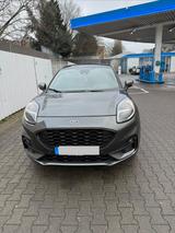 Ford Puma ST-Line X 155PS Automatik Pano B&O Massage  - Ford Puma von privat