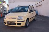 Fiat Panda 1.2 8V Dynamic*Klima*Zahnr.gew.*Automatik* - Fiat Panda: Gelb