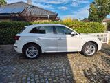 Audi Q5 45 TFSI quattro "S Line Sportpaket" - Audi Q5 mit Benzin-Antrieb: Sport