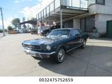 Ford Mustang - gebrauchte Ford Mustang aus dem Jahr 1965