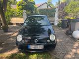 Volkswagen VW Lupo 1.4 liter  /  Austauschmotor mit 6... - Volkswagen Golf: Austauschmotor