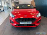 Ford Focus 1.5 EcoBlue ST-Line AHK/LED/B&O/Winter-Pak - Ford Focus: Rot
