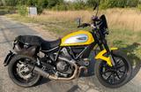 Ducati Scrambler, Icon  - Ducati Motorräder in Braunschweig