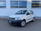 Fiat Panda 1.1 8V *Active Airbag Servo ABS*1.HAND* - Fiat Panda Active mit Benzin-Antrieb