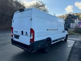 Fiat Ducato Maxi Grossr.-Kasten 35 160 L5H2 RS: 4035 - Fiat Ducato in Hagen