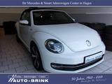 Volkswagen Beetle Cabrio Allstar Nav/Xen/PTS+RFK/33tkm/1.Hd - Volkswagen Beetle ALLSTAR mit Benzin-Antrieb