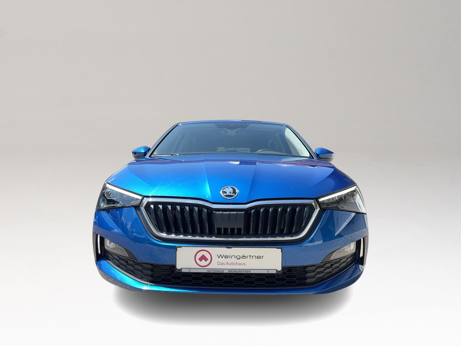 Scala 1.5 TSI Tour, AHK, LED, Licht Paket, SunSe
