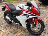 Honda CBR 600 FA (PC41) - Offers
